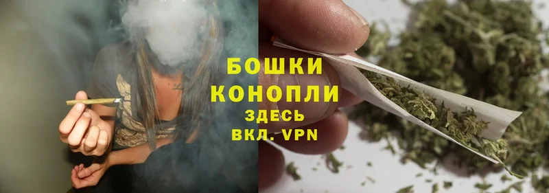 как найти наркотики  Камышлов  Бошки марихуана Bruce Banner 